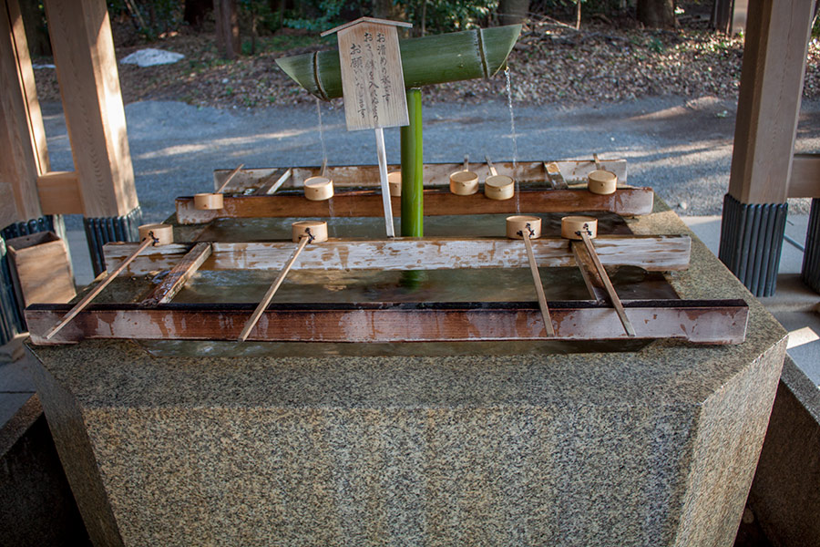 Meiji Shrine — Храм Мейдзі