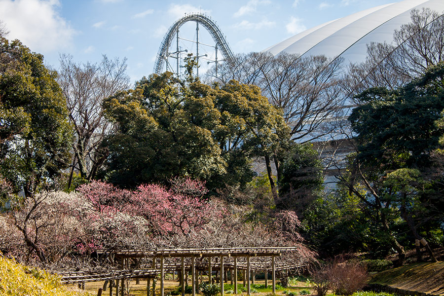 Koishikawa Korakuen Gardens 