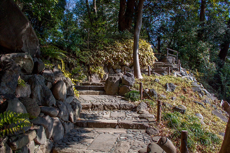 Koishikawa Korakuen Gardens 