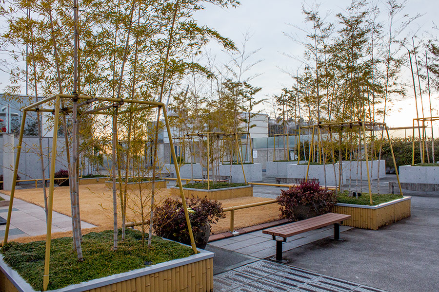 Площадка с садиком