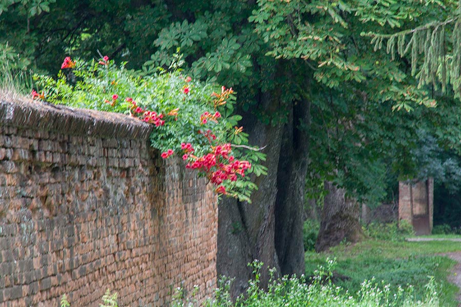 Теплица в Самчиках