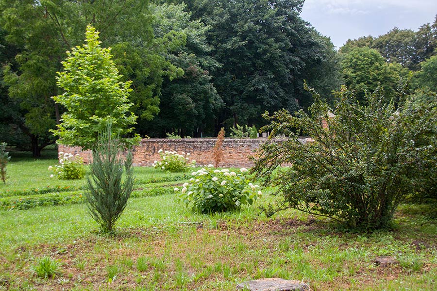 Теплица в Самчиках