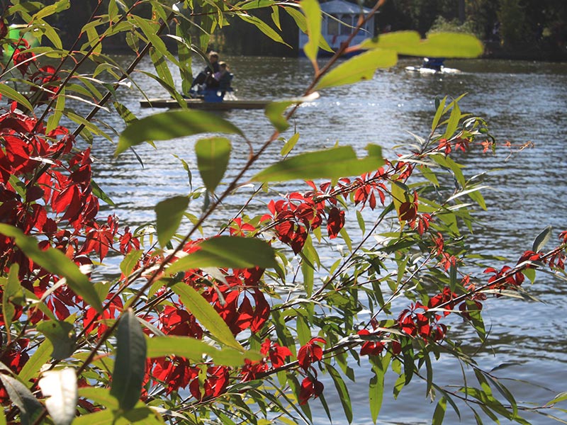 Дендропарк Софіївка в Умані