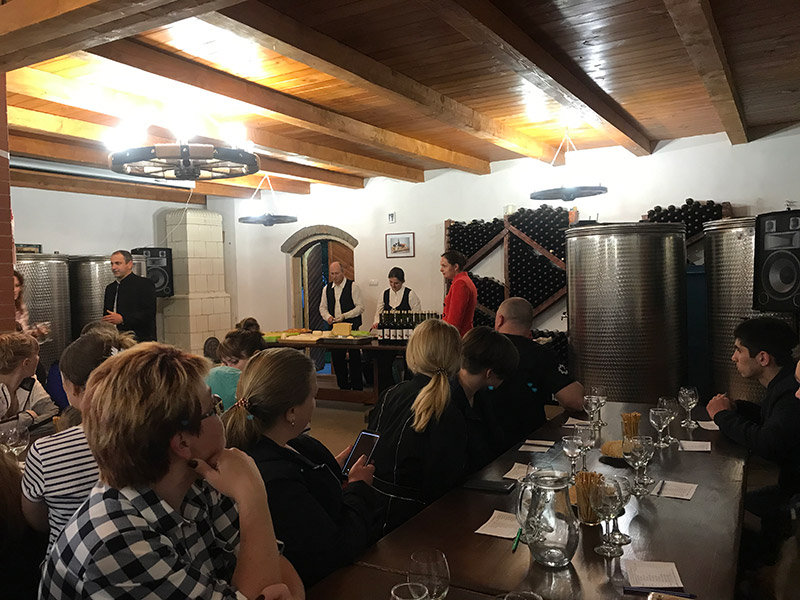 дегустация