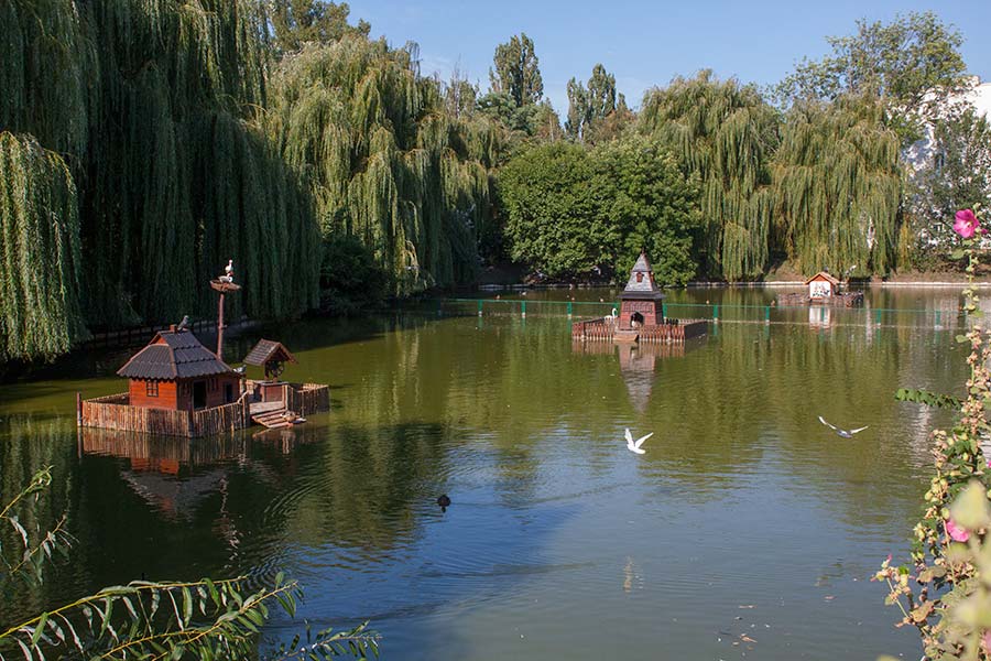 Миргородская лужа (Миргородська калюжа)