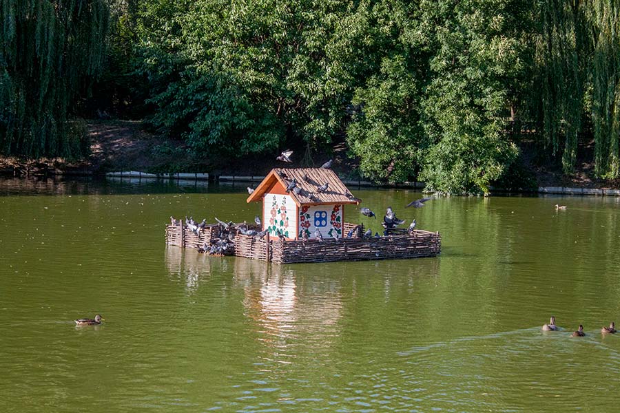Миргородская лужа (Миргородська калюжа)