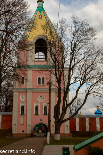 Николаевская церковь-колокольня в Густыне